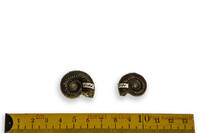 F 05184
<br/>
<br/>
<em></em>